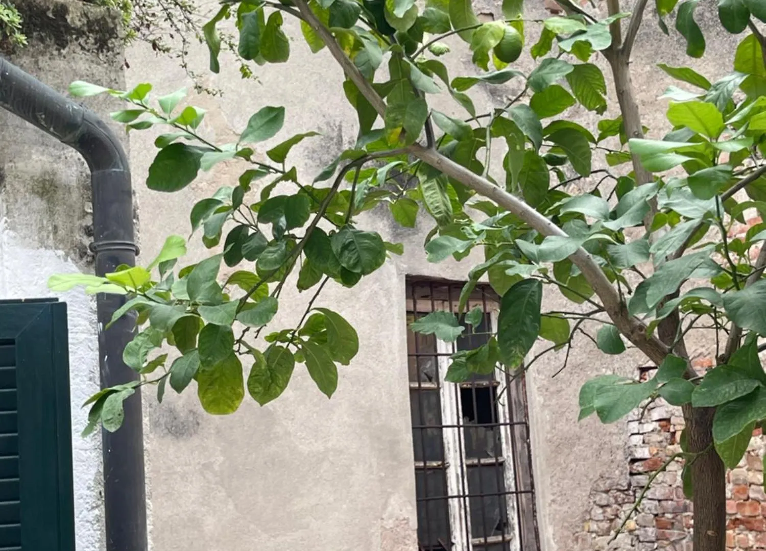 B&B Bottesini Crema 0*,  Italy